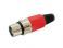 3-PIN XLR JACK, NICKEL-PLATED, RED